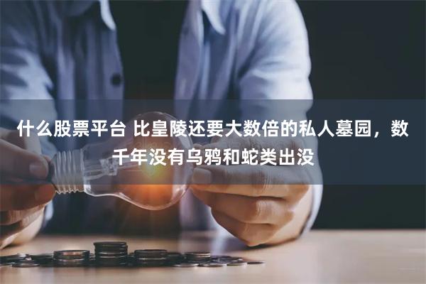 什么股票平台 比皇陵还要大数倍的私人墓园，数千年没有乌鸦和蛇类出没