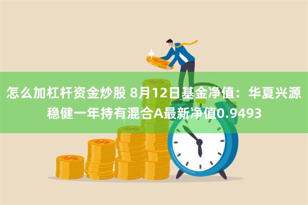 怎么加杠杆资金炒股 8月12日基金净值：华夏兴源稳健一年持有混合A最新净值0.9493