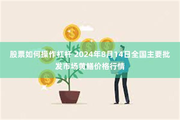 股票如何操作杠杆 2024年8月14日全国主要批发市场黄鳝价格行情