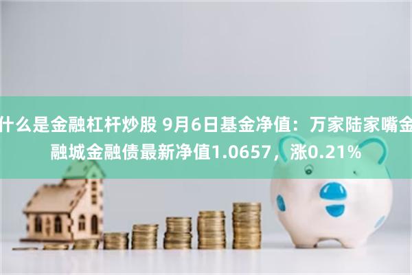 什么是金融杠杆炒股 9月6日基金净值：万家陆家嘴金融城金融债最新净值1.0657，涨0.21%