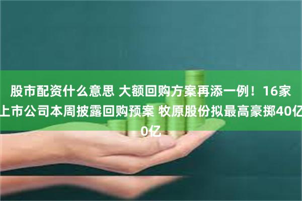 股市配资什么意思 大额回购方案再添一例！16家上市公司本周披露回购预案 牧原股份拟最高豪掷40亿