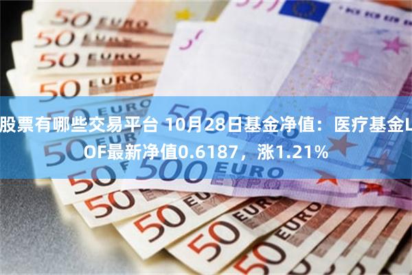 股票有哪些交易平台 10月28日基金净值：医疗基金LOF最新净值0.6187，涨1.21%