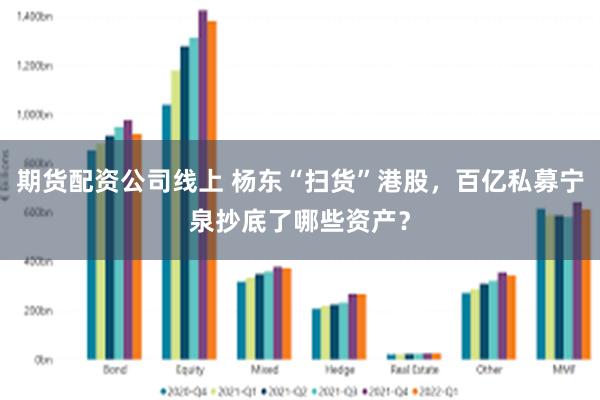 期货配资公司线上 杨东“扫货”港股，百亿私募宁泉抄底了哪些资产？